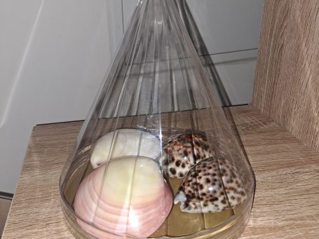 Coquillages chauds - Fabienne GIRE